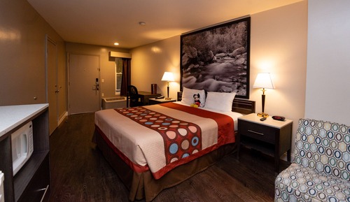 Room, 1 King Bed, Non Smoking