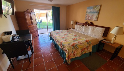 Standard Room, 1 King Bed