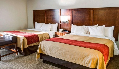 Standard Room, Multiple Beds, Non Smoking
