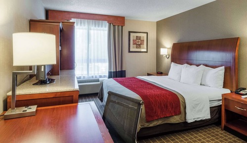 Standard Room, 1 King Bed, Non Smoking