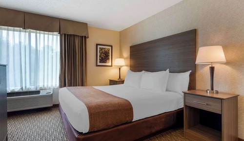 Standard Room, 1 King Bed, Non Smoking, Jetted Tub