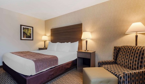 Standard Room, 1 King Bed, Accessible, Refrigerator & Microwave (Pet Friendly)