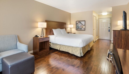 Standard Room, 1 King Bed, Accessible, Non Smoking (Walk-in Shower)