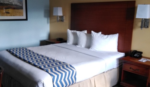 Room, 1 Queen Bed, Non Smoking