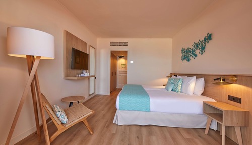Double Room Single Use, Balcony, Sea View