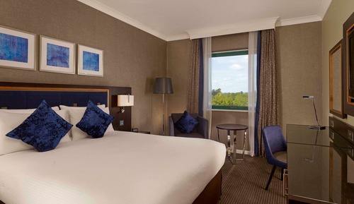 Room, 1 Queen Bed