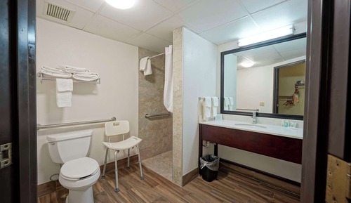 Room, 1 Queen Bed with Sofa bed, Accessible, Non Smoking