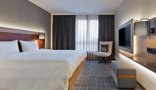 Room, 1 King Bed