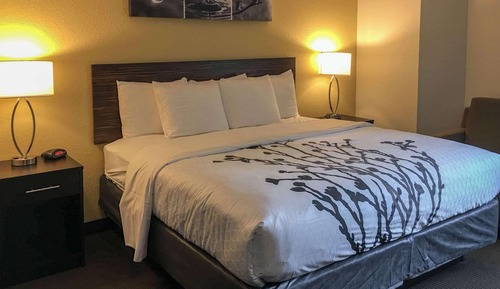 Room, 1 King Bed, Non Smoking
