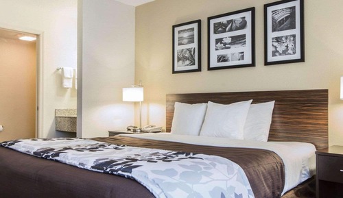 Standard Room, 1 King Bed, Non Smoking