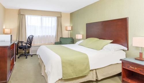Suite, 1 King Bed, Non Smoking (Pet Friendly Suite)