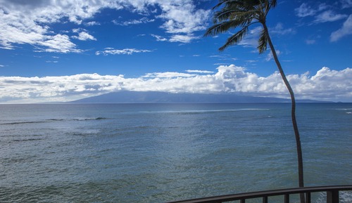 Suite, 1 Bedroom, Oceanfront