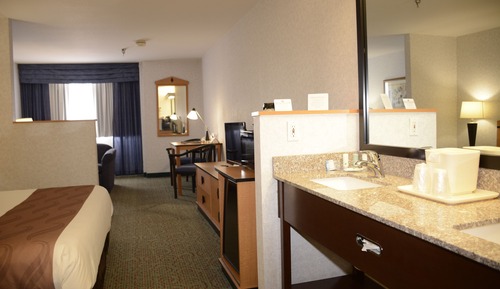 Room, 1 King Bed with Sofa bed