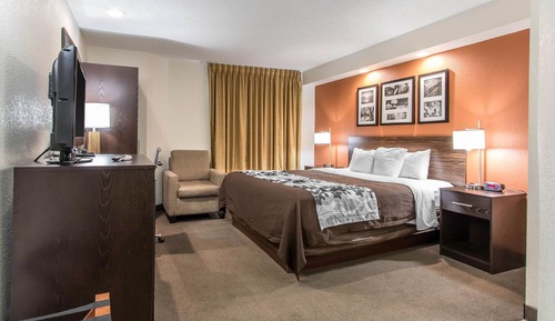 Standard Room, 1 King Bed, Non Smoking