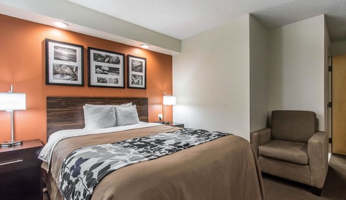 Room, 1 Queen Bed, Accessible, Non Smoking