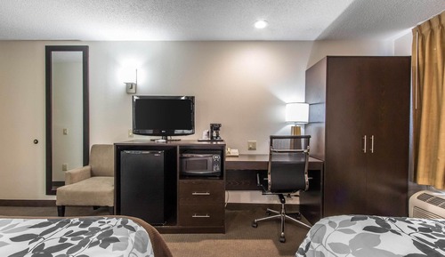 Standard Double Room, 2 Double Beds, Non Smoking