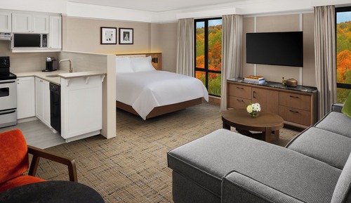 Luxury Studio Suite, 1 Queen Bed, Kitchen