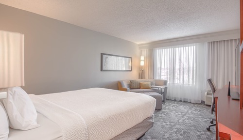Room, 1 King Bed with Sofa bed (Mobility/Hearing Accessible, Tub)