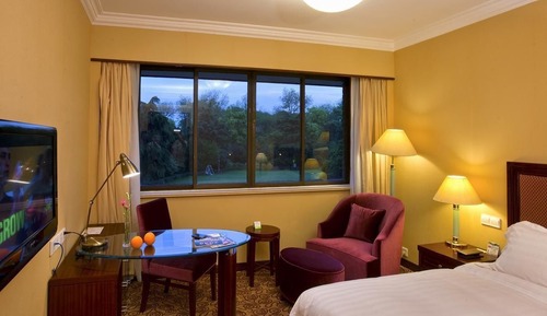 Superior Room, Garden View