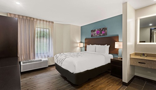 Room, 1 Queen Bed, Accessible, Non Smoking