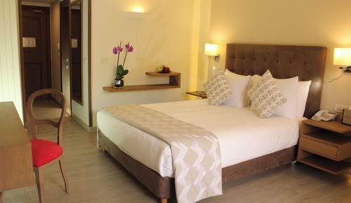 Premium Room, 1 Queen Bed