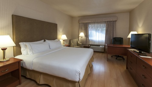 Suite, 1 King Bed