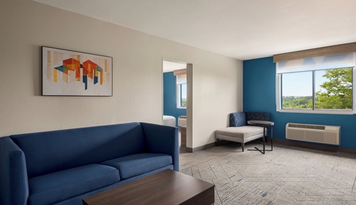Suite, 1 King Bed with Sofa bed
