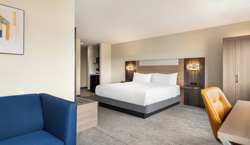 Suite, 1 King Bed with Sofa bed