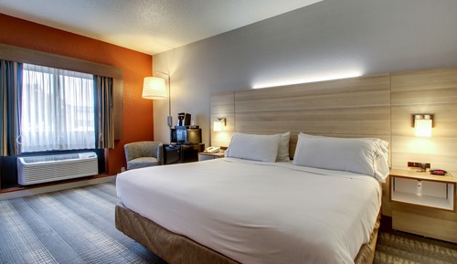 Standard Room, 1 King Bed with Sofa bed