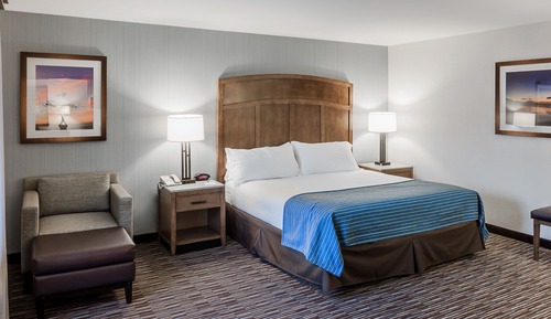 Suite, 1 Bedroom