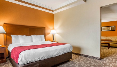 Deluxe Suite, 1 King Bed, Sofa Bed, Living Room, Non Smoking