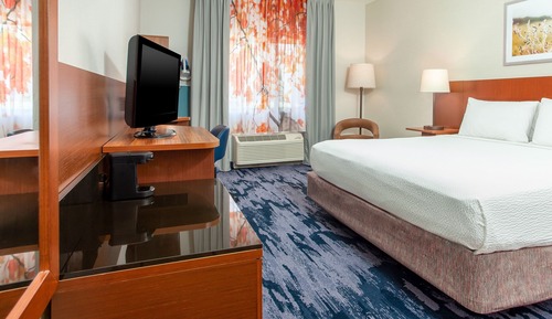 Room, 1 King Bed (Mobility/Hearing Access, Roll-In Shwr)