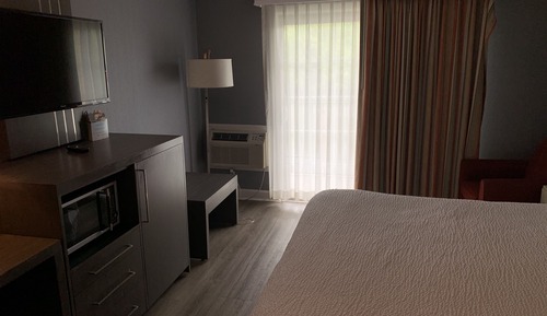 Room, 1 King Bed, Non Smoking (Lake or Pool View)