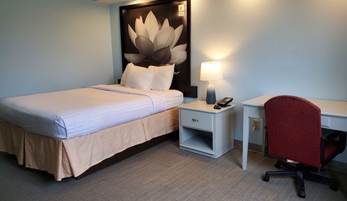 Standard Room, 1 Queen Bed