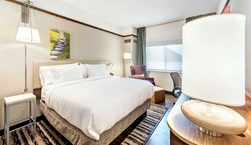Room, 1 King Bed