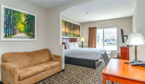 Studio Suite, 1 King Bed, Smoking