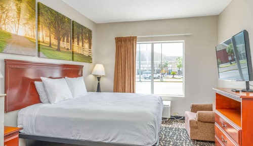 Room, 1 King Bed, Accessible, Non Smoking