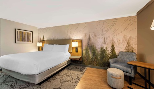 Standard Room, 1 Queen Bed, Accessible, Refrigerator & Microwave