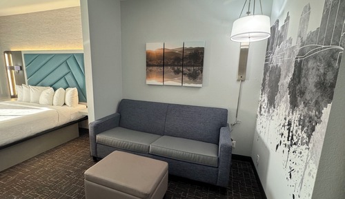 Suite, 1 King Bed with Sofa bed, Roll-in Shower, Non Smoking
