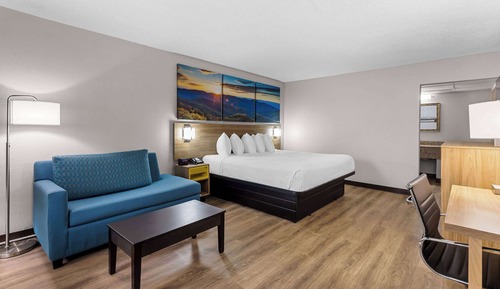 Room, 1 King Bed with Sofa bed, Accessible, Non Smoking