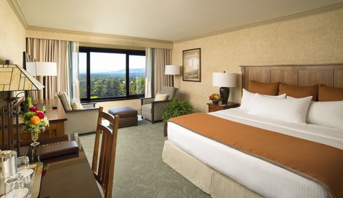 Premium Room, 1 King Bed, Mountain View