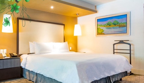 Deluxe Room, 1 King Bed