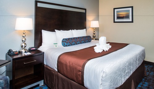 Standard Room, 1 King Bed, Non Smoking