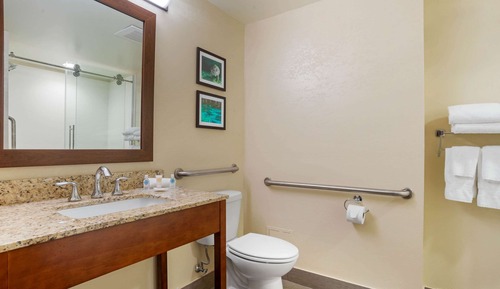 Suite, 1 King Bed with Sofa bed, Accessible, Non Smoking