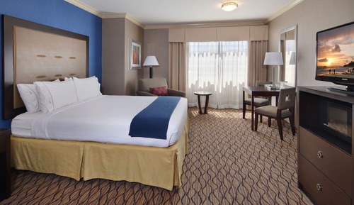 Suite, 1 King Bed