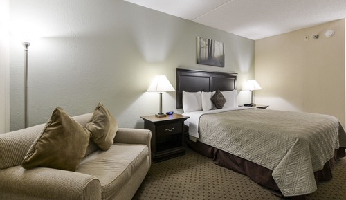 Standard Room, 1 King Bed