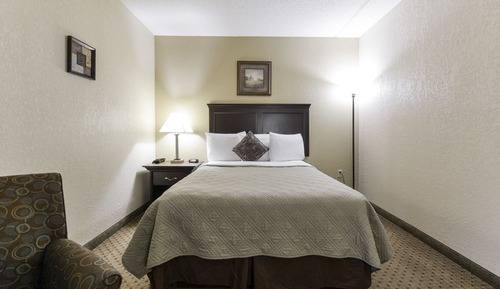 Single Queen Room
