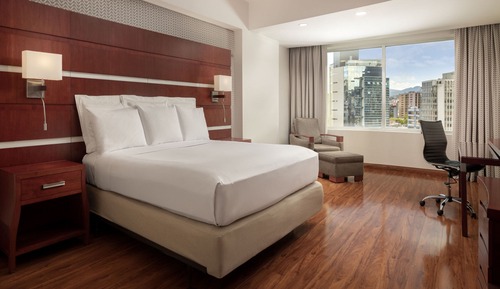 Deluxe Room, 1 King Bed, Non Smoking