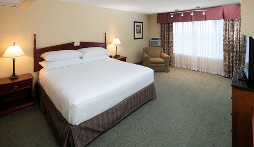 Room, 1 King Bed, Accessible