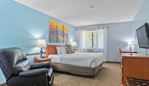 Room, 1 King Bed, Non Smoking